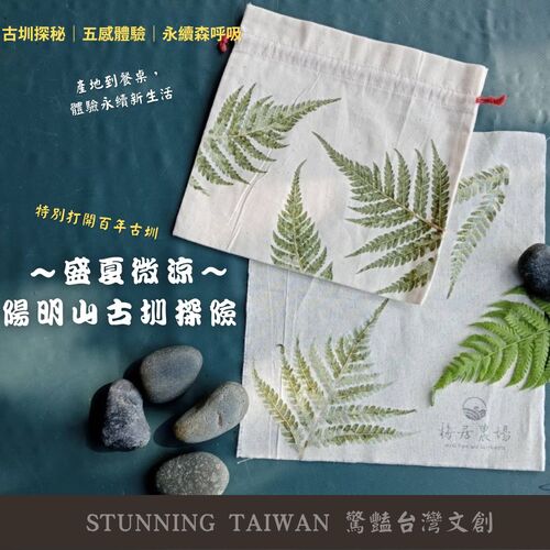 盛夏微涼～陽明山古圳探險｜自然療癒｜永續森呼吸 